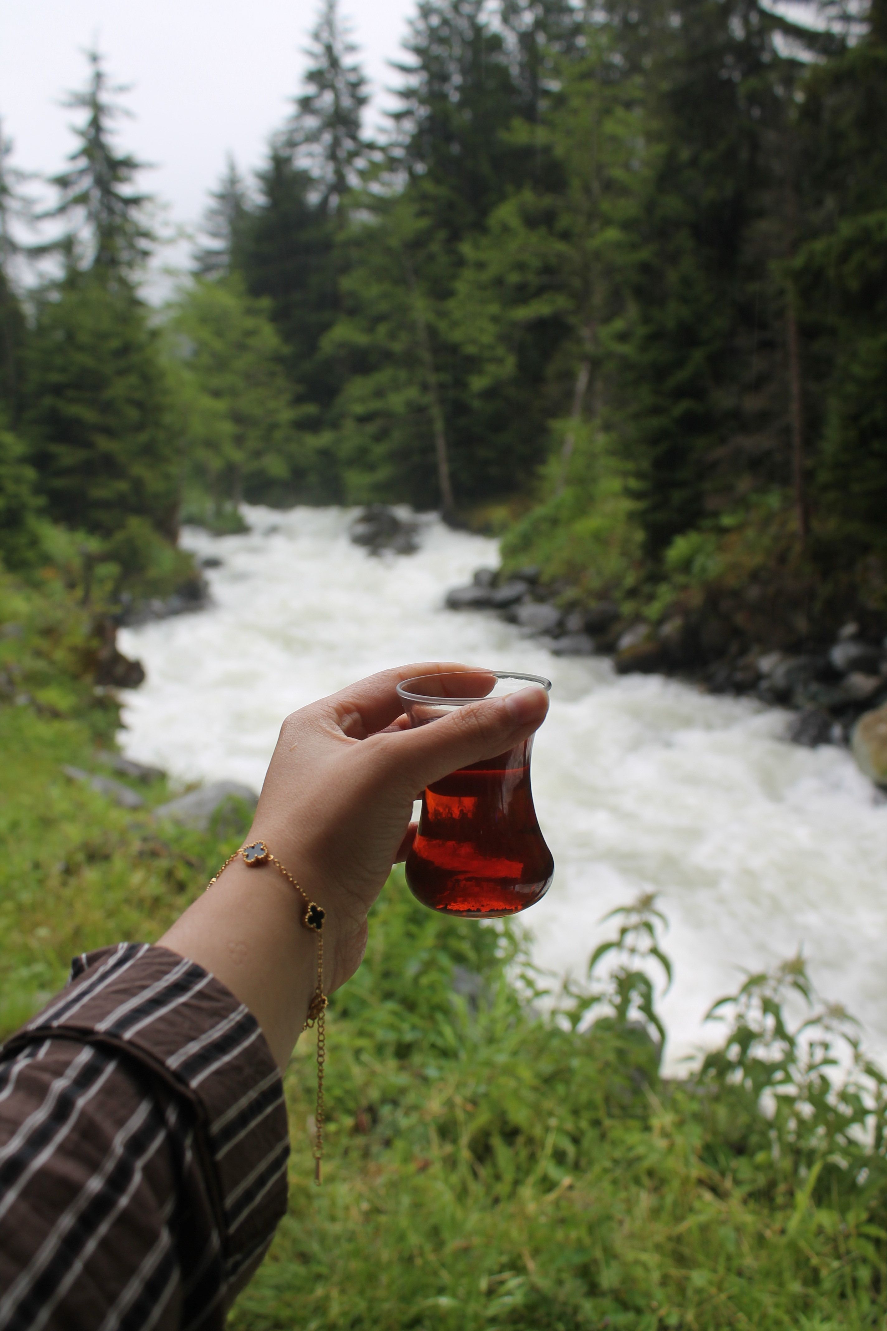 A hand holding a tea glass by a flowing river in a lush forest setting.
