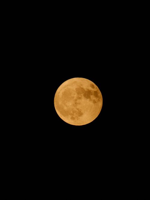 Free Vivid capture of the glowing full moon against a dark night sky, stunning celestial detail. Stock Photo