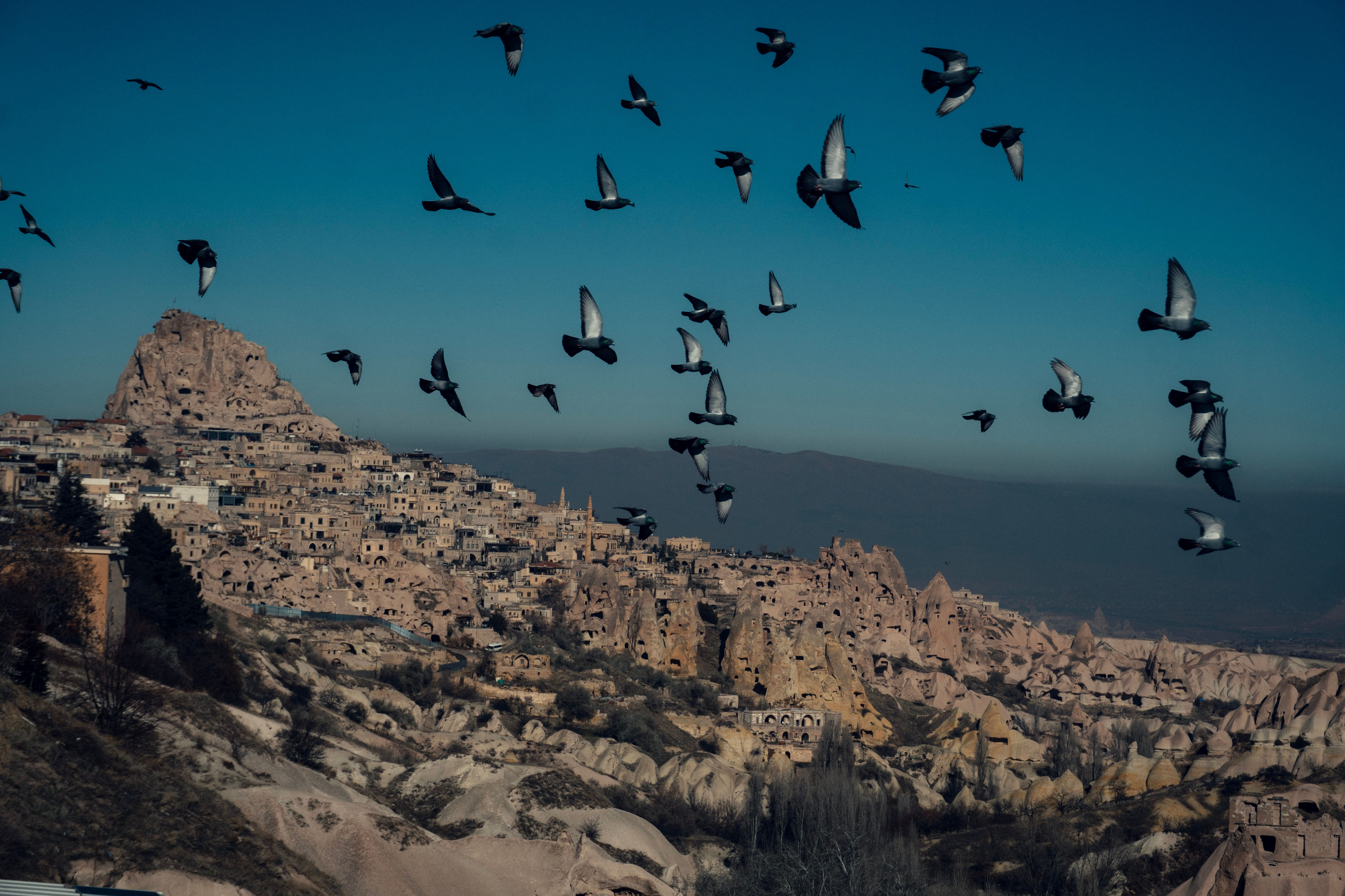 Flock of birds soaring above the rocky formations in Cappadocia, Turkey.