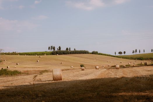 Serene landscape of Tuscany hills with hay bales and iconic cypress trees under a bright sky.