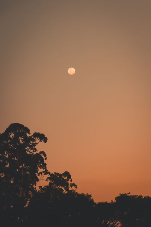 Free A serene view of the full moon rising over São Paulo's skyline during a beautiful sunset. Stock Photo
