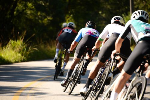 Free A dynamic group of cyclists racing on a sunny outdoor road surrounded by nature. Stock Photo