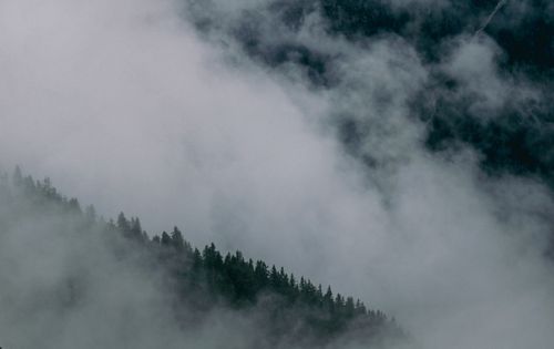 Free Misty forested mountains in Tyrol, Austria create a serene and mysterious landscape. Stock Photo