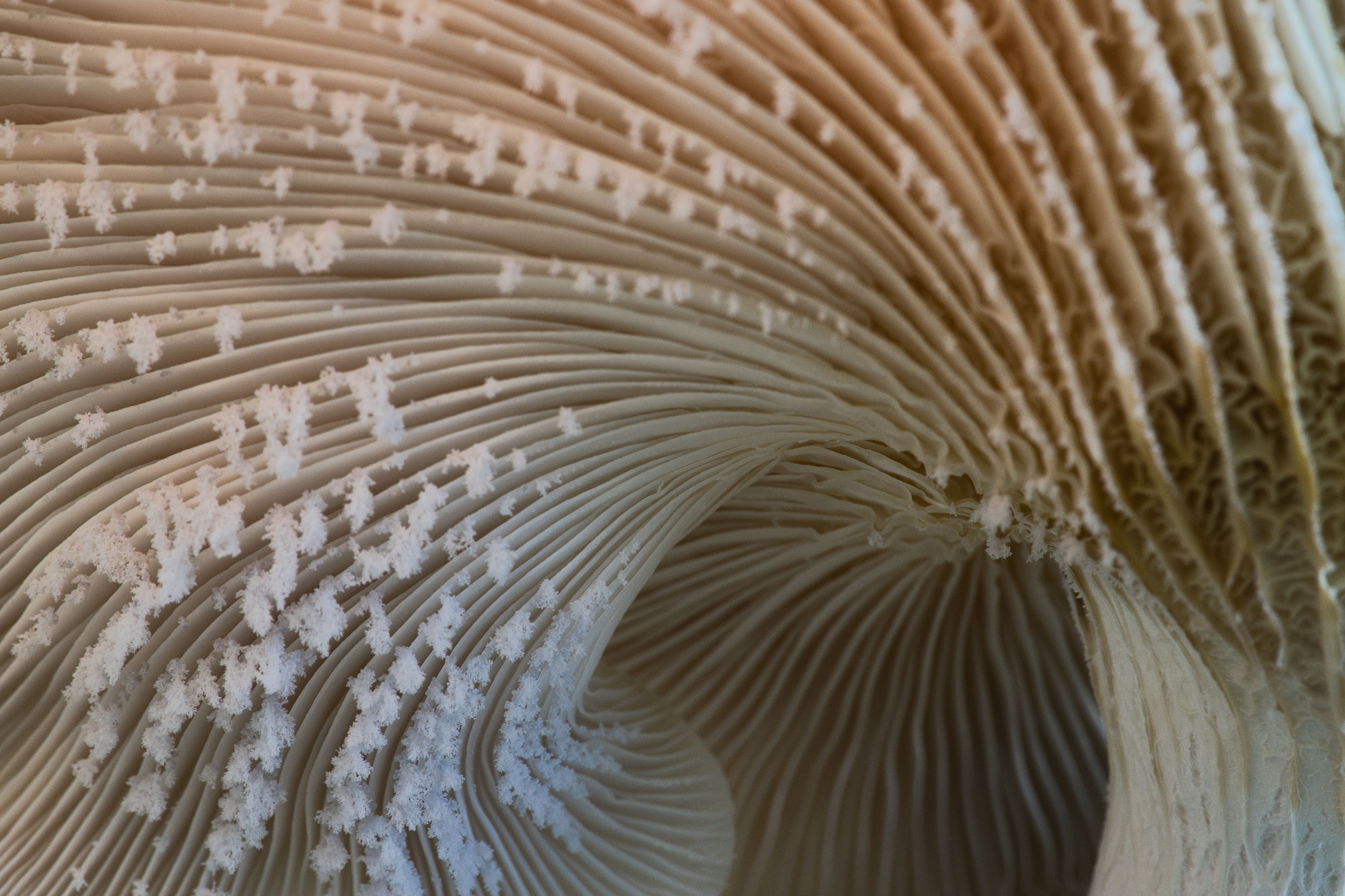 Foto: Andre Mouton / Pexels