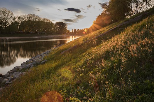 夕阳映照下，河边的景色宁静祥和，远处的草坡和树木被阳光点亮