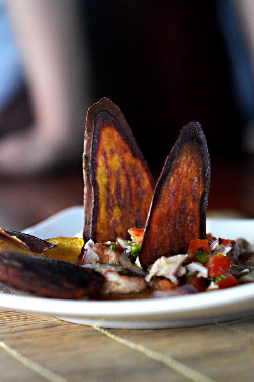 Free A vibrant Ecuadorian dish with crispy plantain and shrimp ceviche on a white plate indoors. Stock Photo