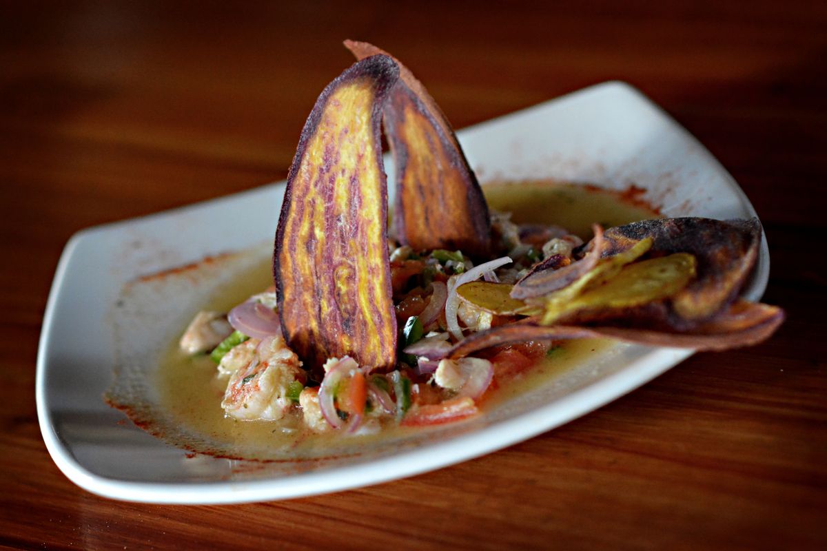 Shrimp ceviche with tomato, red onion and cilantro in citrus juice with tall fried plantain chips