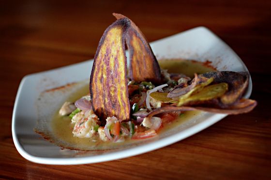 Shrimp ceviche with tomato, red onion and cilantro in citrus juice with tall fried plantain chips