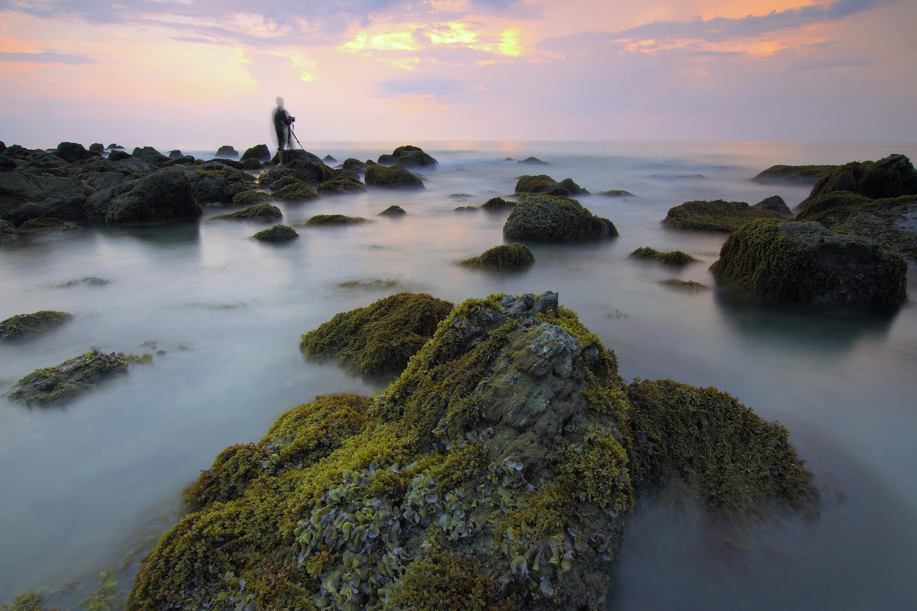 一位孤独的摄影师在日出时捕捉到了岩石上长满青苔的宁静海景