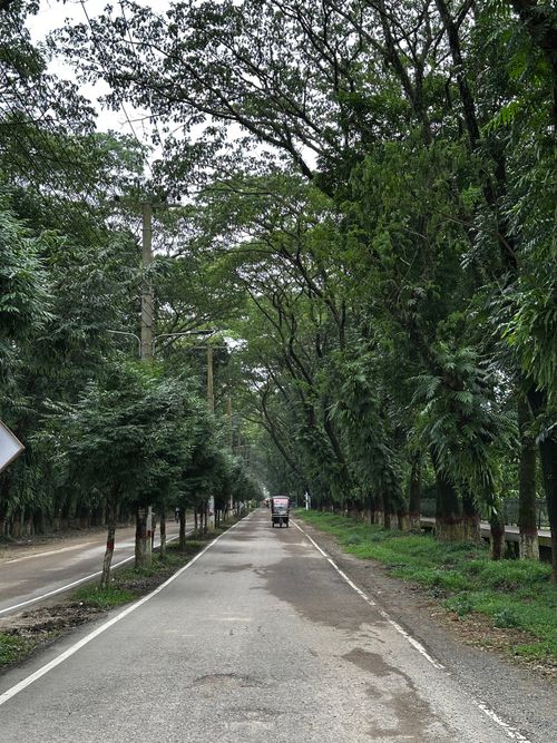 Free A serene road lined with lush trees creates a peaceful, picturesque setting. Stock Photo