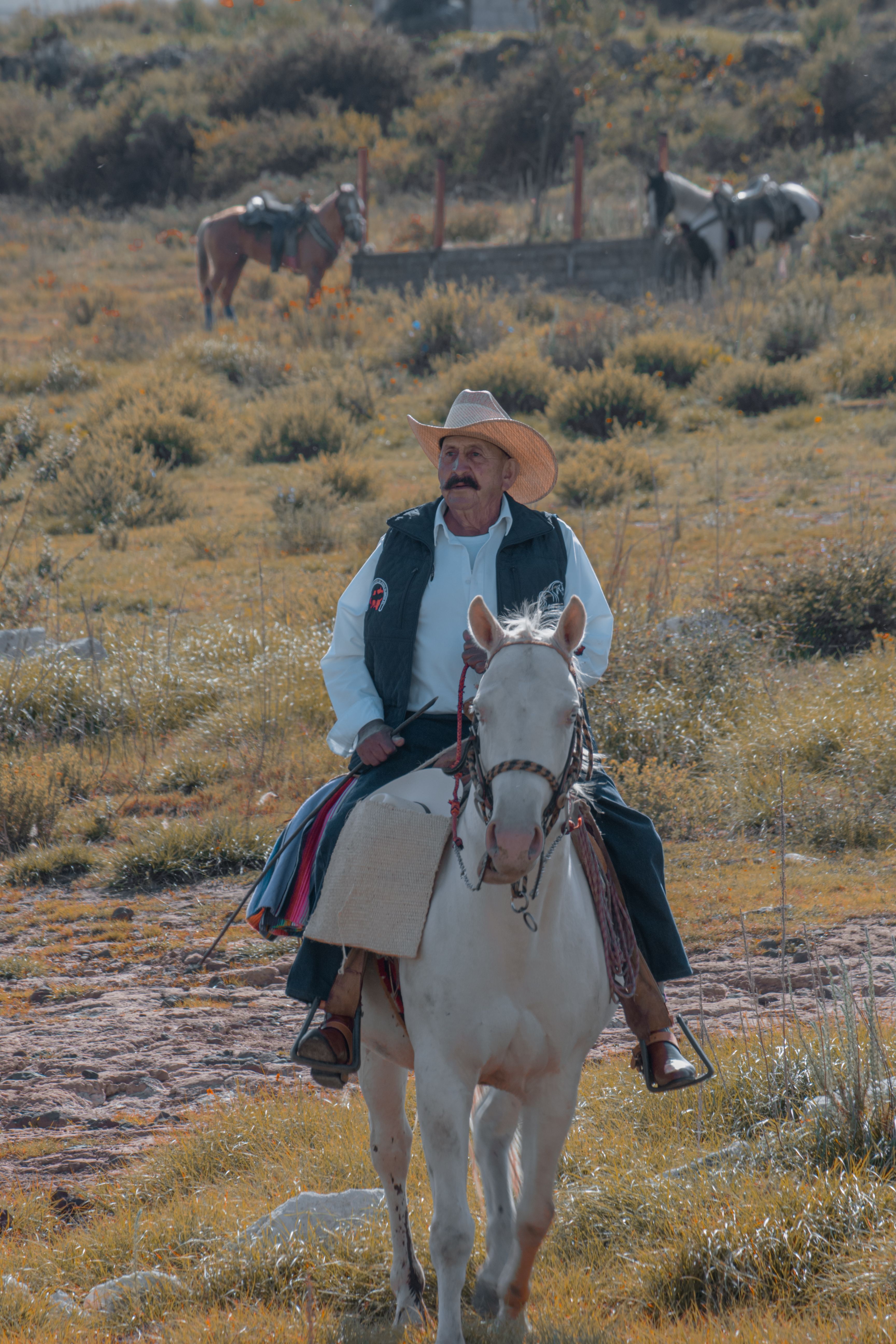 Hispanic cowboy in traditional attire riding a white horse in the countryside.