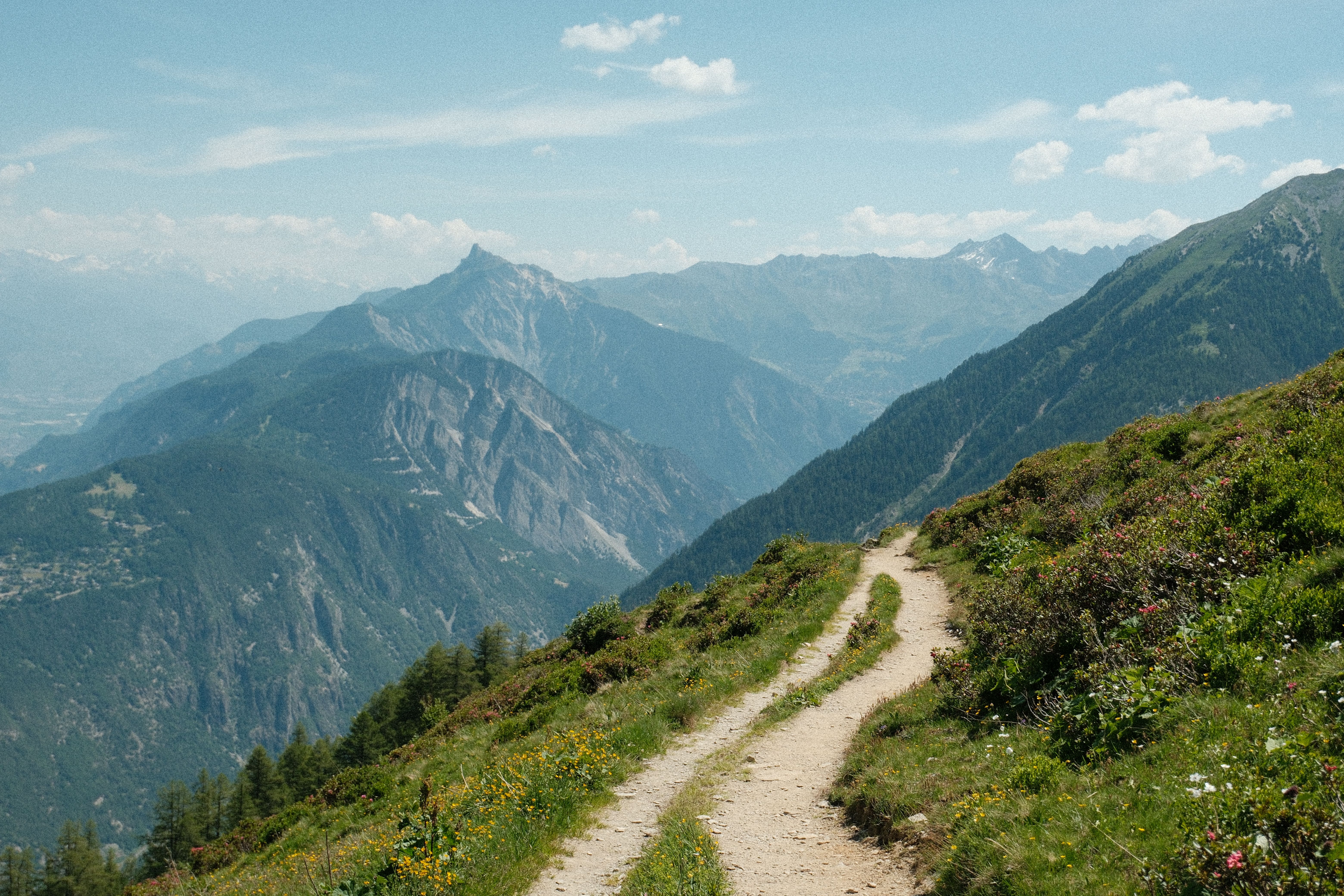 Cartographie de sentier montagnard