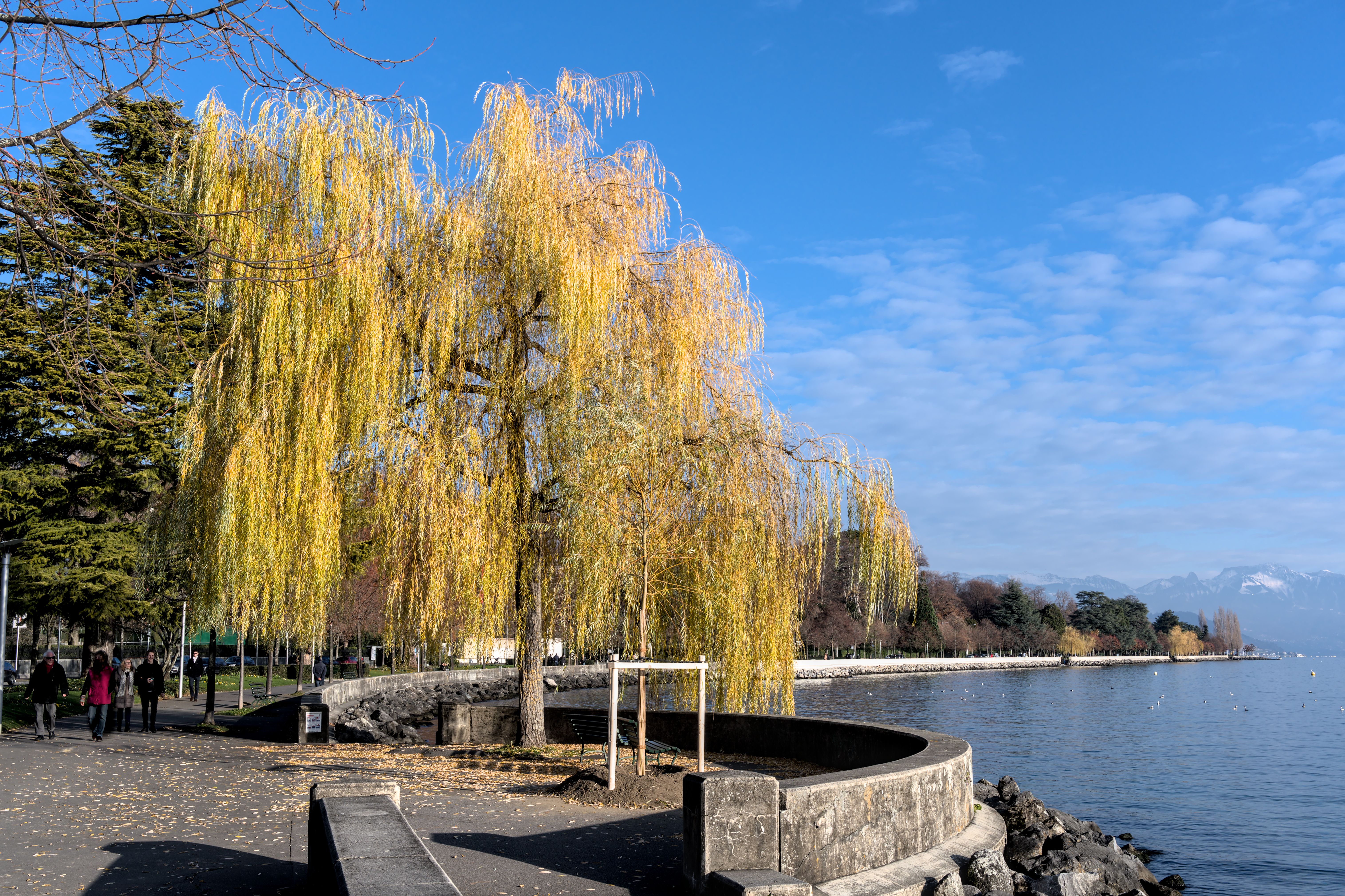 Lausanne From Geneva: How to Plan a Self-Guided Day Trip