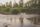 river bank