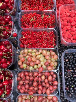 Top view of assorted fresh berries including cherries, gooseberries, red currants, and raspberries.