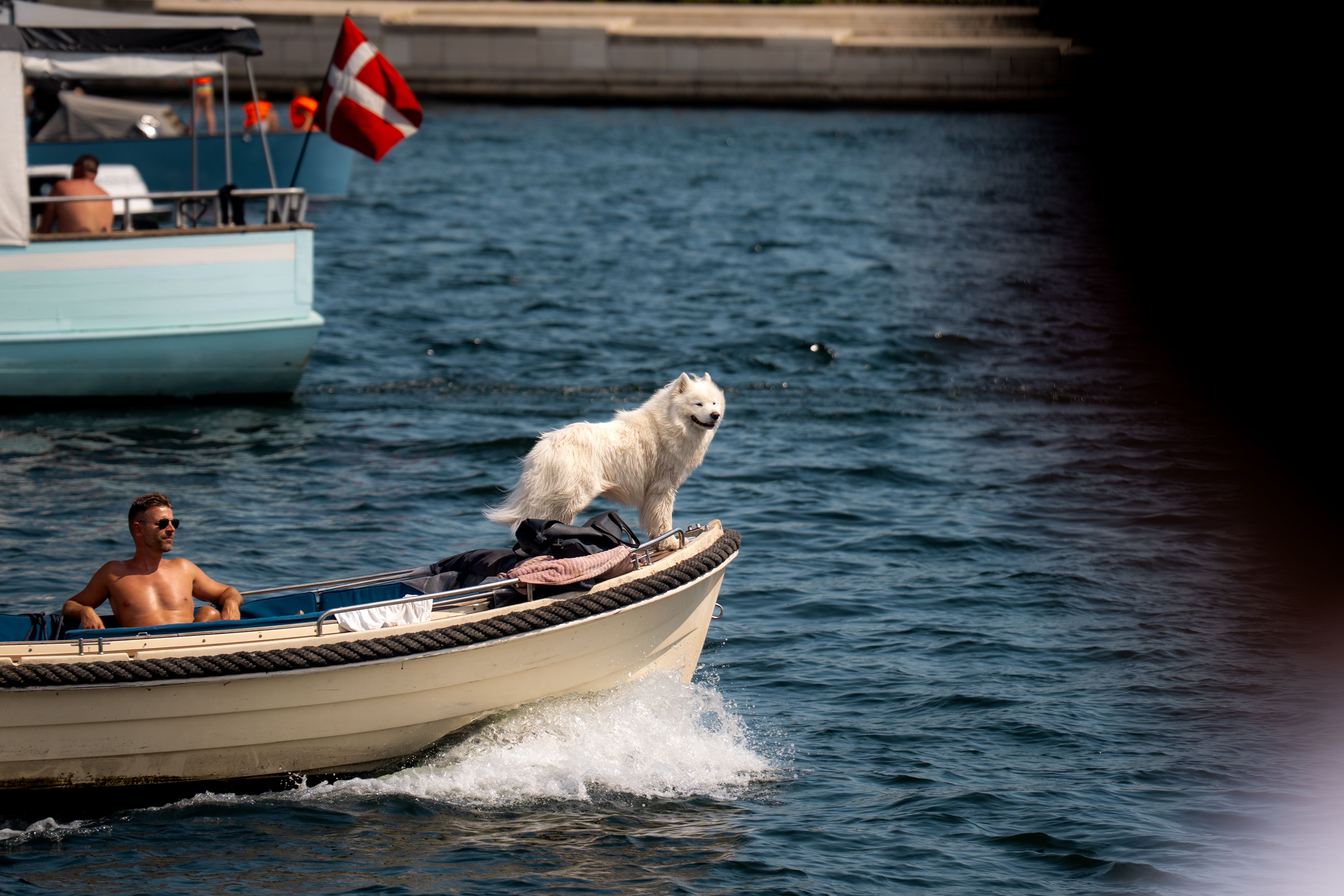 A white dog and man enjoying a sunny boat ride in a Copenhagen canal with a Danish flag.