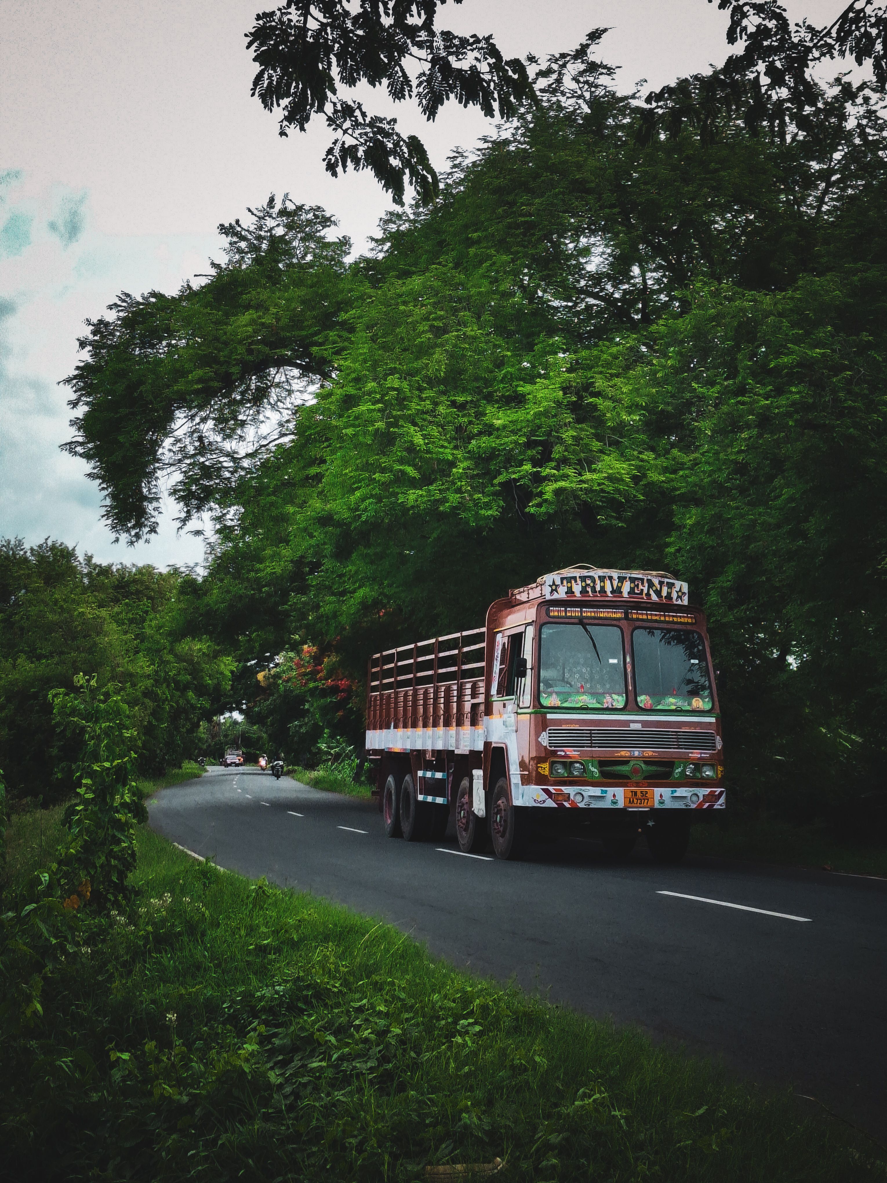 Indian truck on a tree-lined road