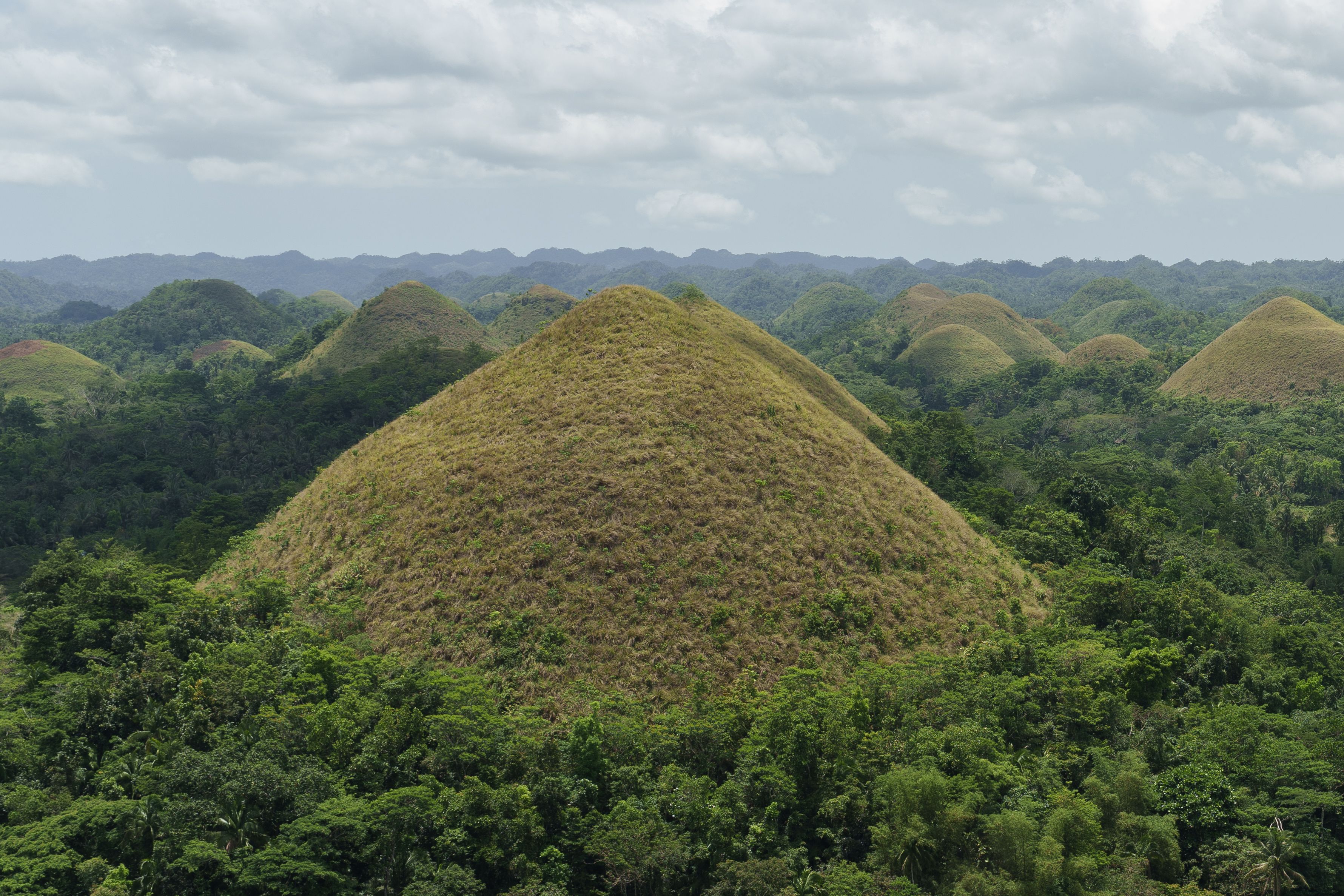 Bohol