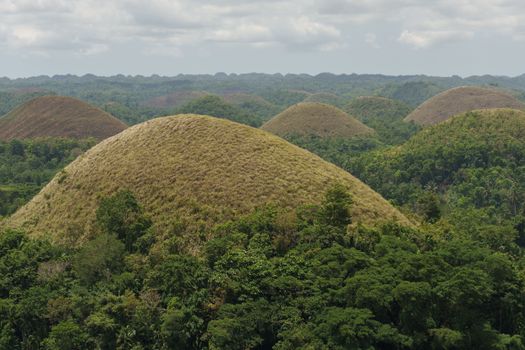 Chocolate Hills of Bohol day — Cebu