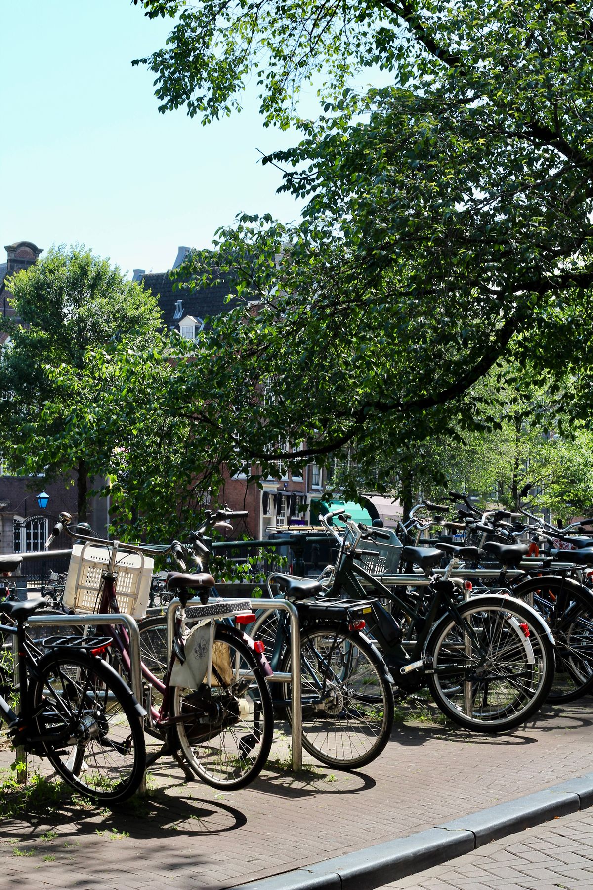 Bicycles parked beside a canal in Amsterdam