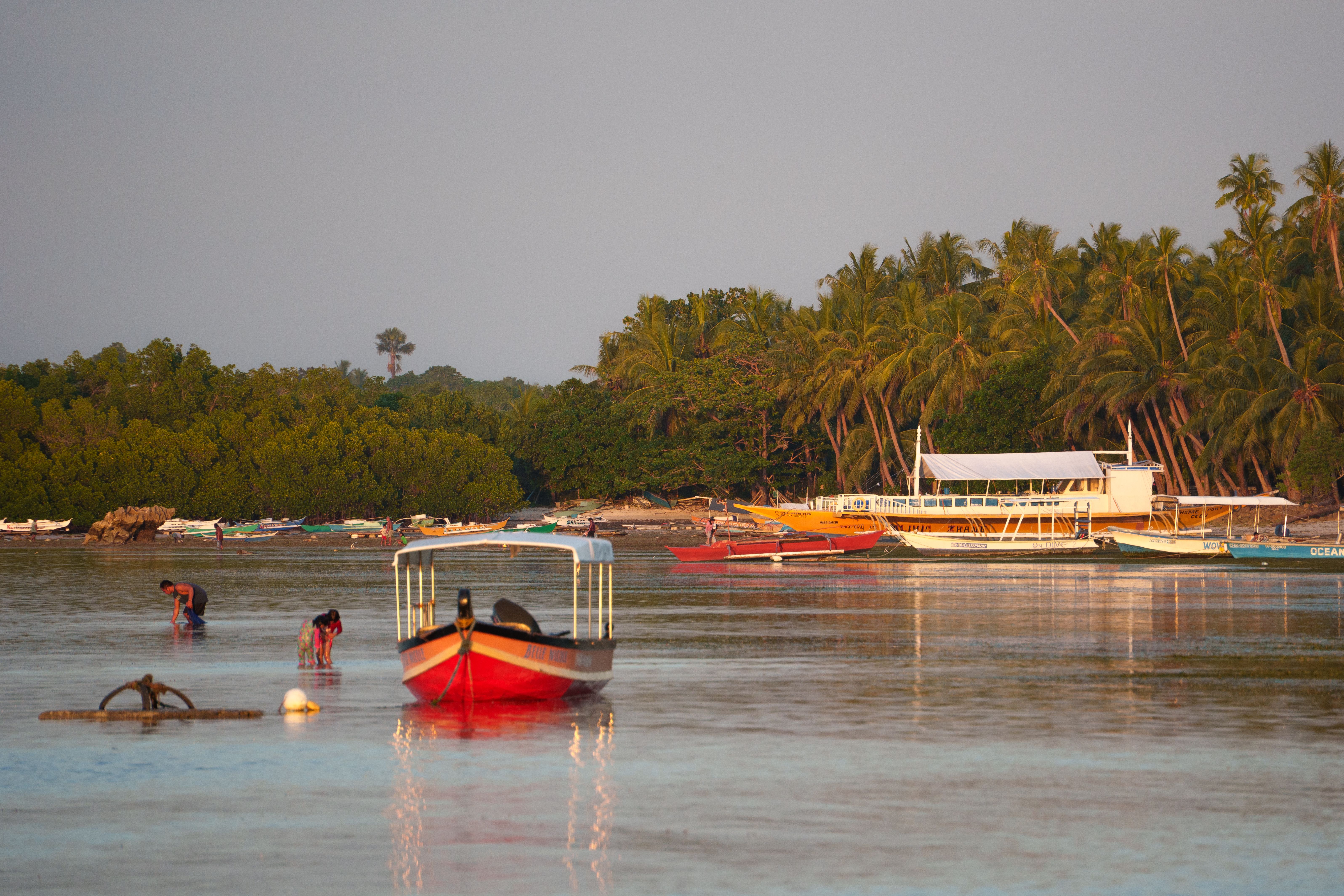 A peaceful scene of boats anchored near palm-lined shores in Central Visayas, Philippines.
