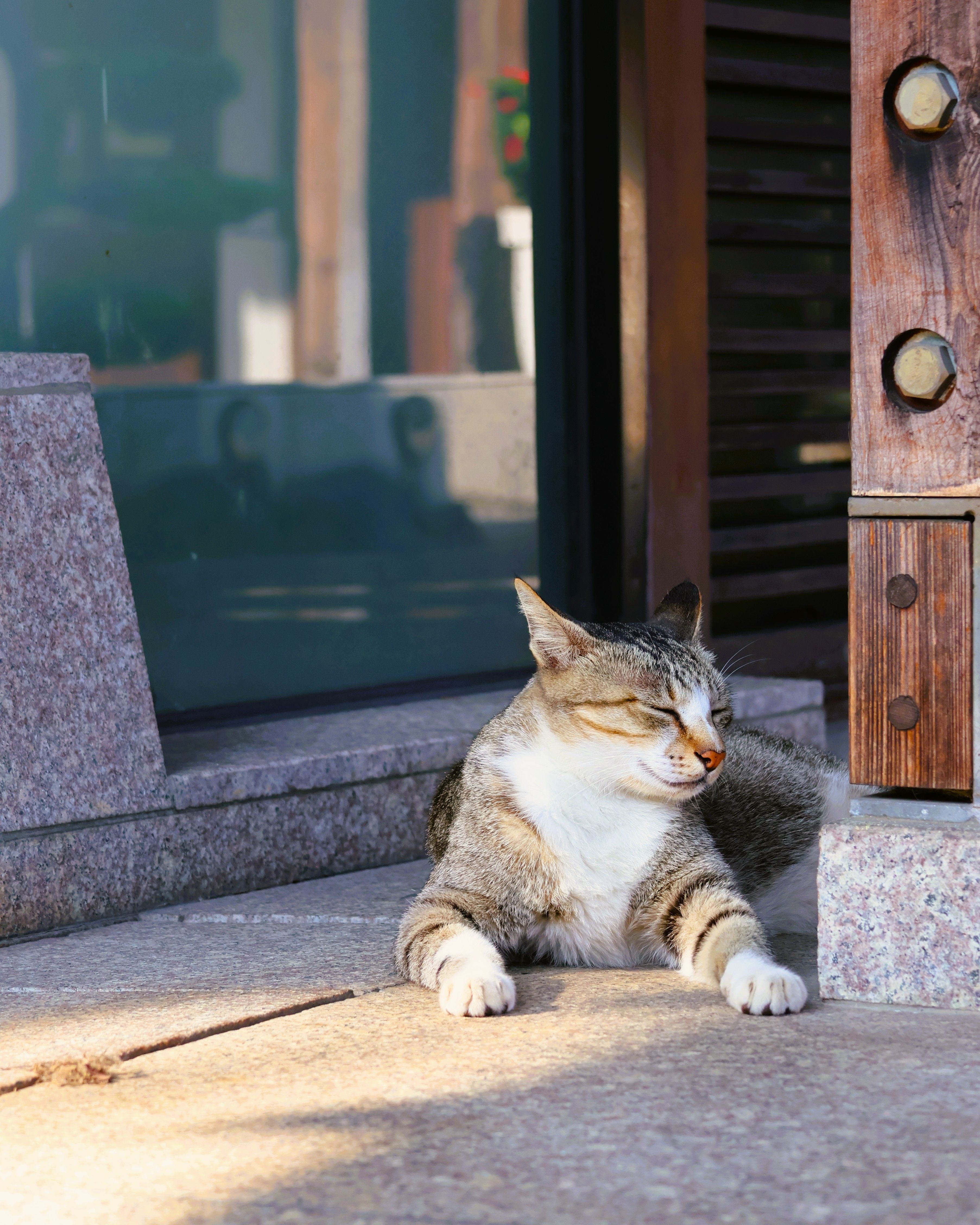 A contented cat enjoys the warmth while sunbathing on stone stairs outdoors.
