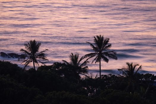 Captivating view of palm trees silhouetted against a serene sunset over the ocean.