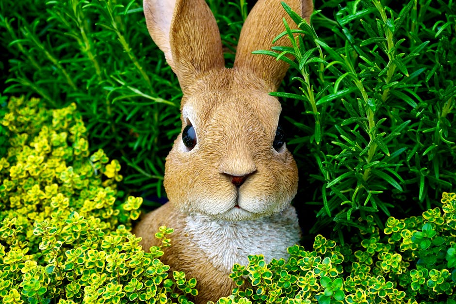bunny, cute, ears