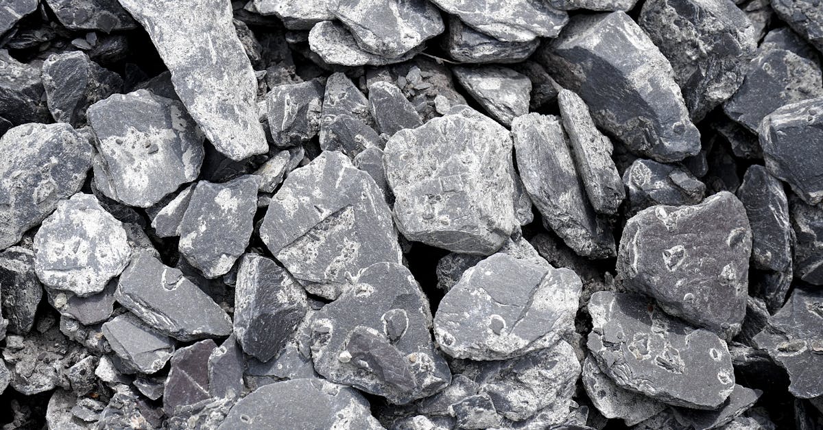 火星で死ぬ: この片道旅行の前にすべての詳細を確認してください