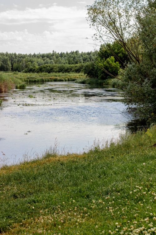 Free Tranquil nature scene of a river surrounded by lush greenery under a cloudy sky. Stock Photo