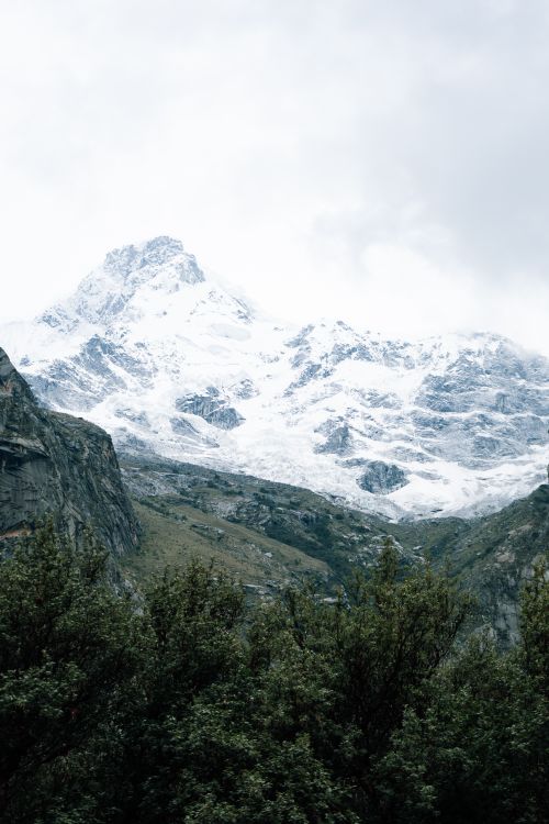 Free Breathtaking view of a snow-capped mountain peak surrounded by greenery under an overcast sky. Stock Photo