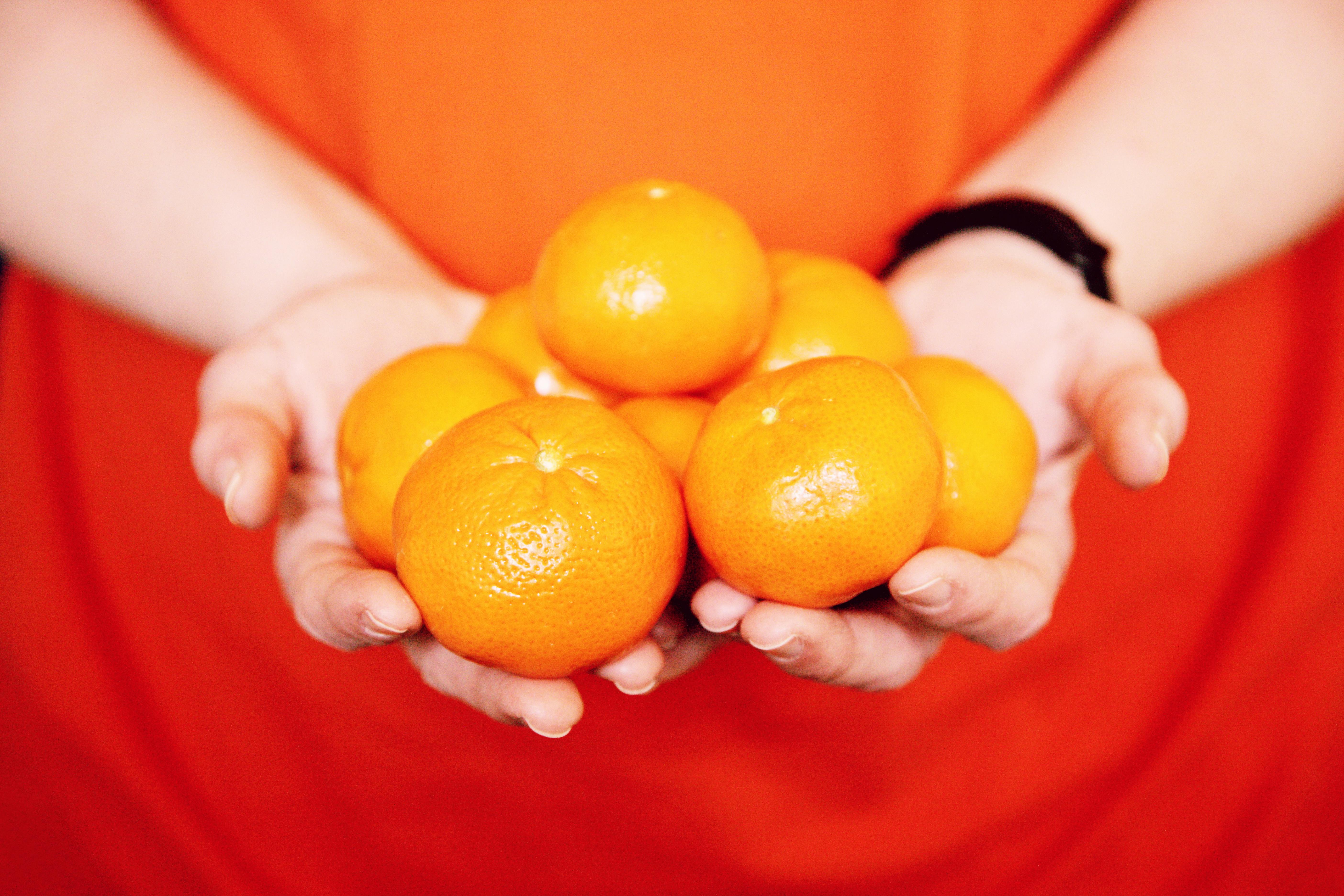Free Hands holding fresh, juicy oranges, symbolizing health and freshness. Stock Photo
