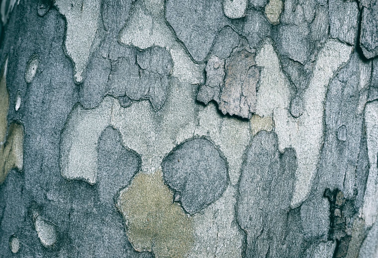 Wallpapering in Kings Cross — clean edges cut in around trim and sockets