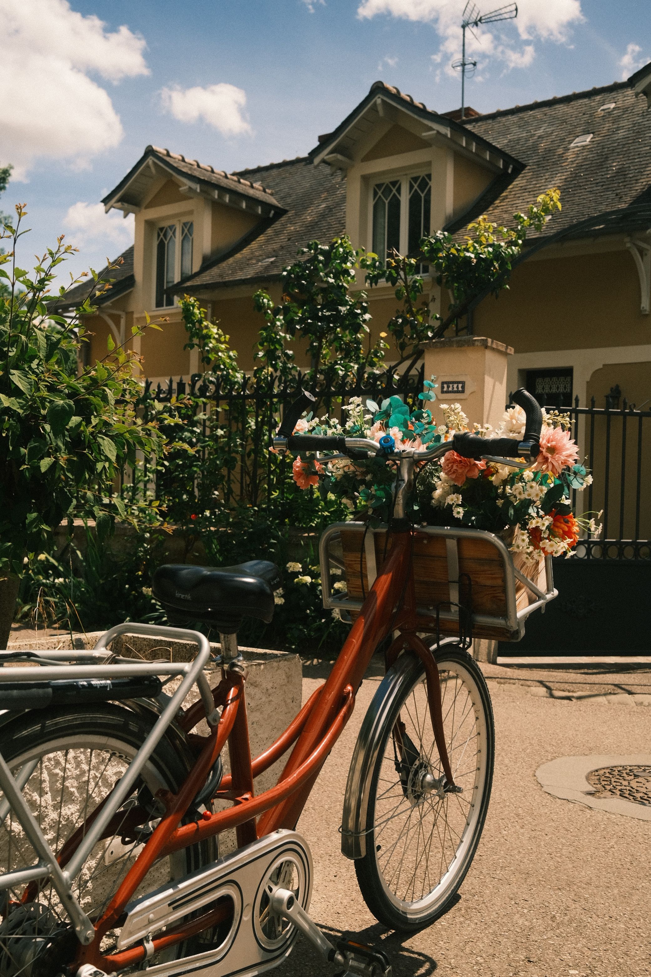 Red bicycle with a basket of colorful flowers on a sunlit street near a house.