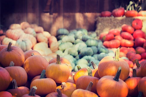 Fresh October Produce Recipes You’ll Love This Season