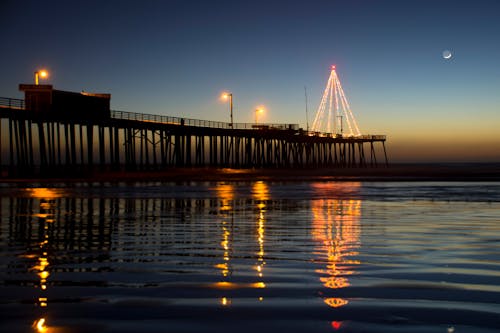 Photography of String Lights Tree on Bridge