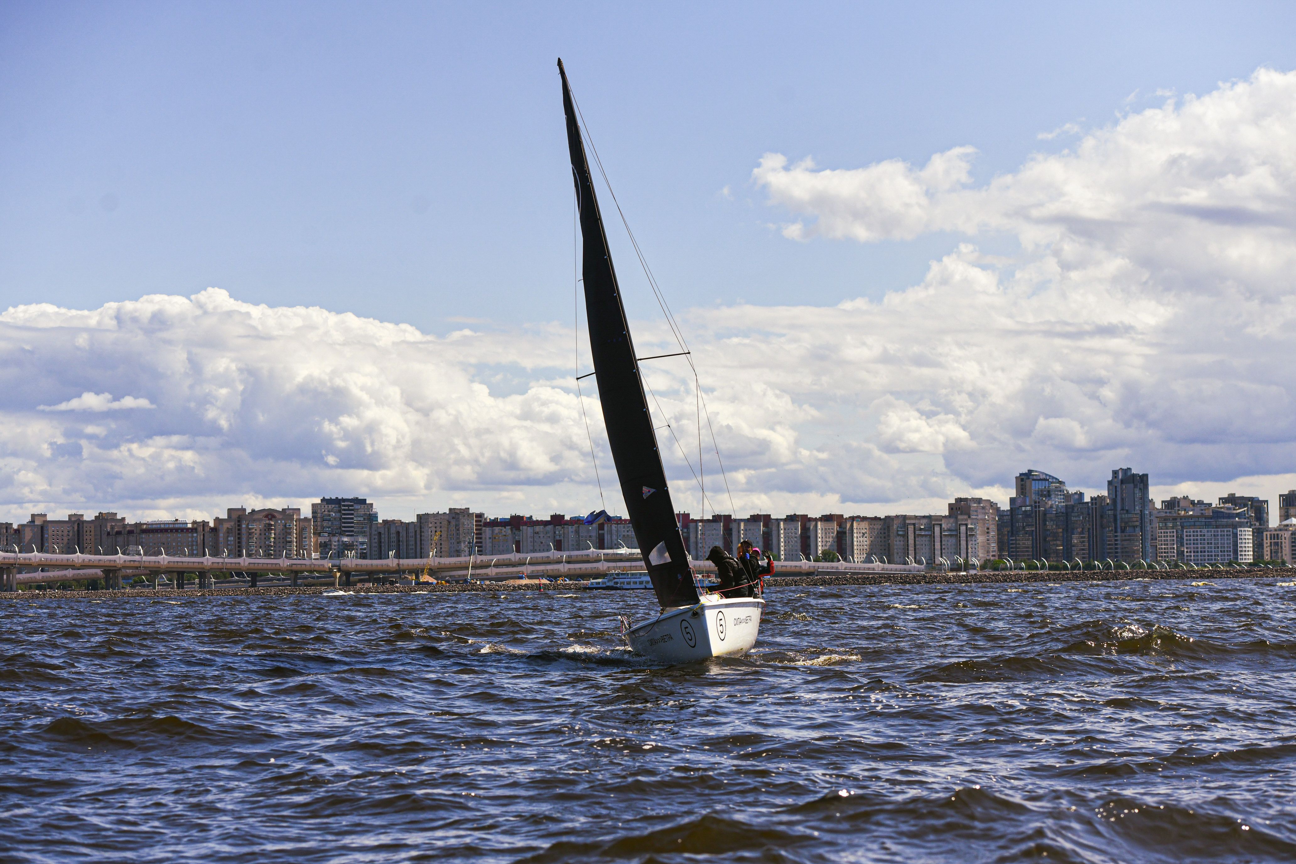 A sailboat gliding through urban waters against a city skyline under a bright blue sky.