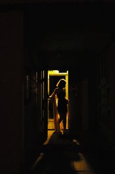 A mysterious silhouette of a woman standing in a dimly lit hallway, creating a dramatic ambiance.