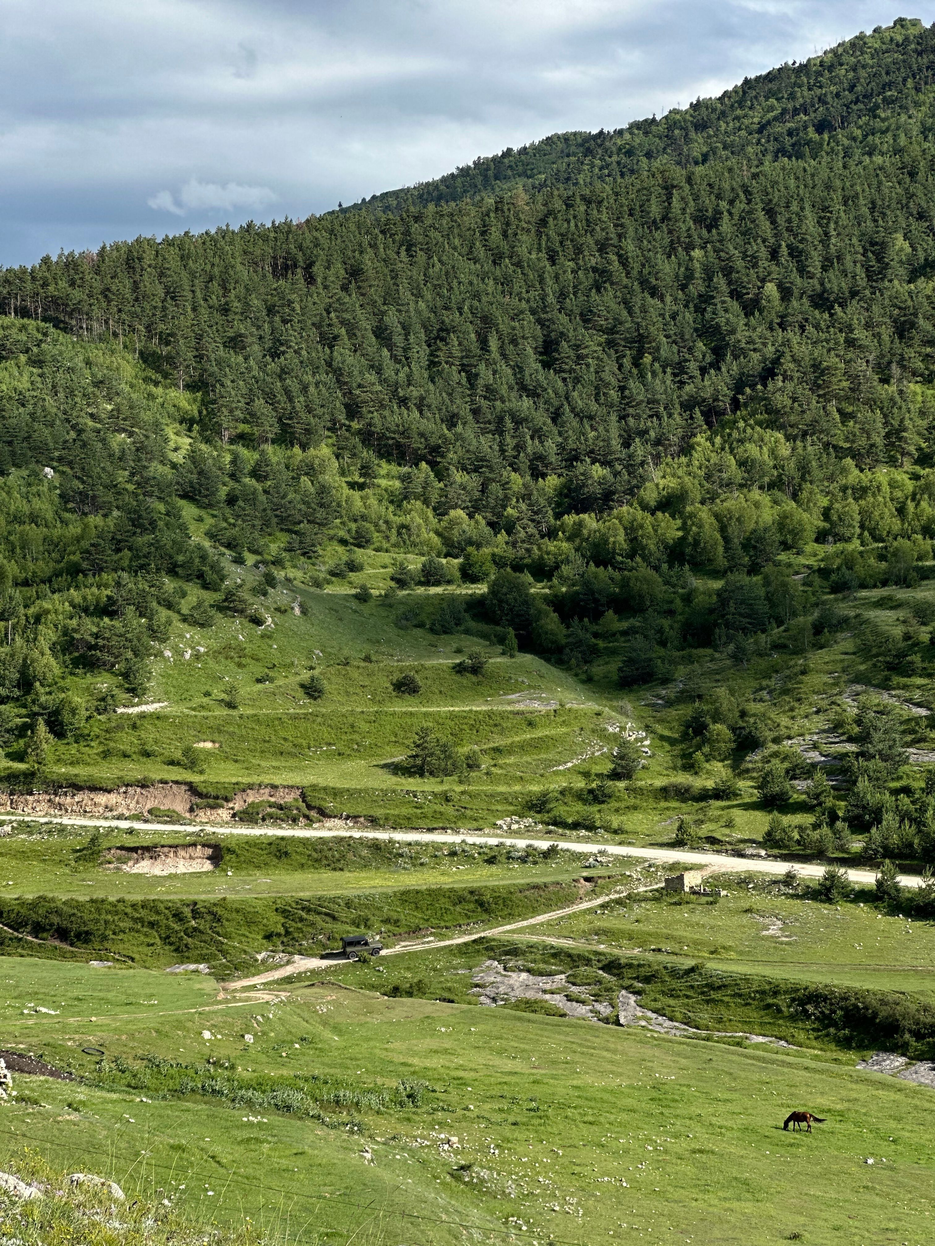 Forested valley in the Georgian highlands