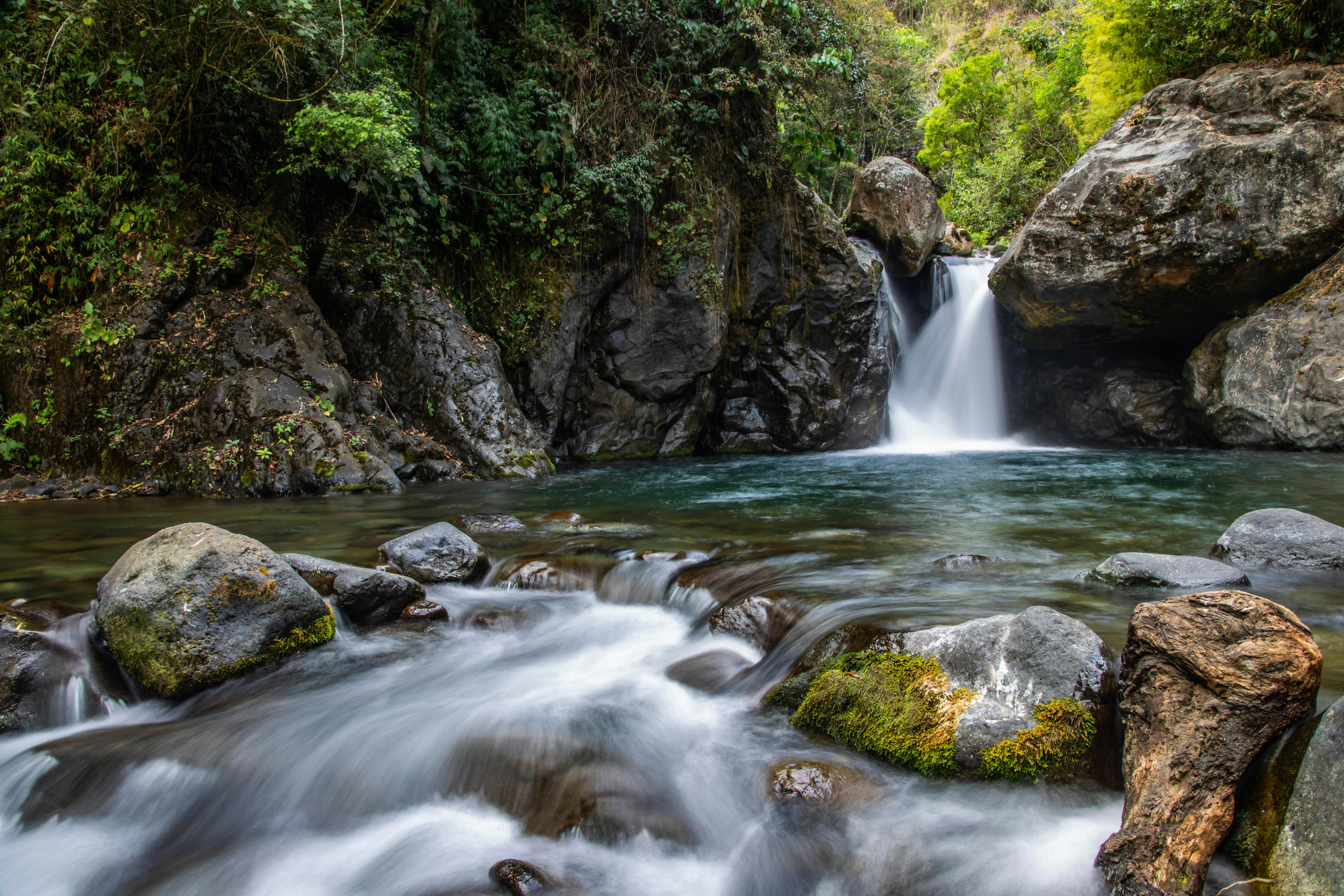 Flow, water current, waterfall, forest, nature, rocks, . Beautiful nature,  Nature, Beautiful nature, Flowing River HD phone wallpaper | Pxfuel