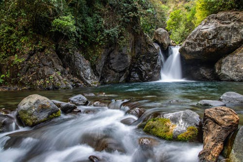 Ücretsiz Ormanın Ortasına Su Düşüyor Stok Fotoğraflar