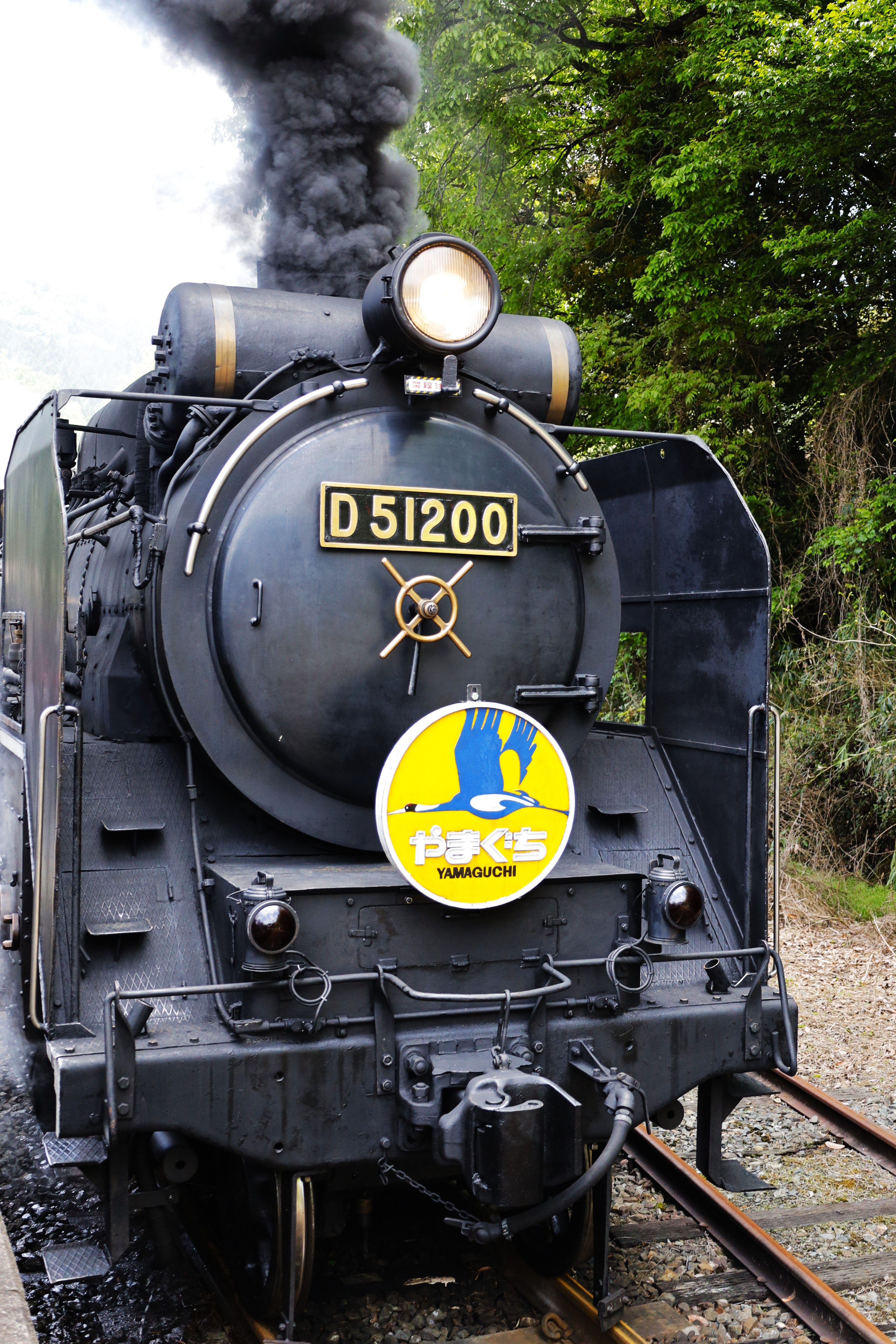 Front view of the steam locomotive D51200 on Yamaguchi Line, showcasing vintage rail travel.
