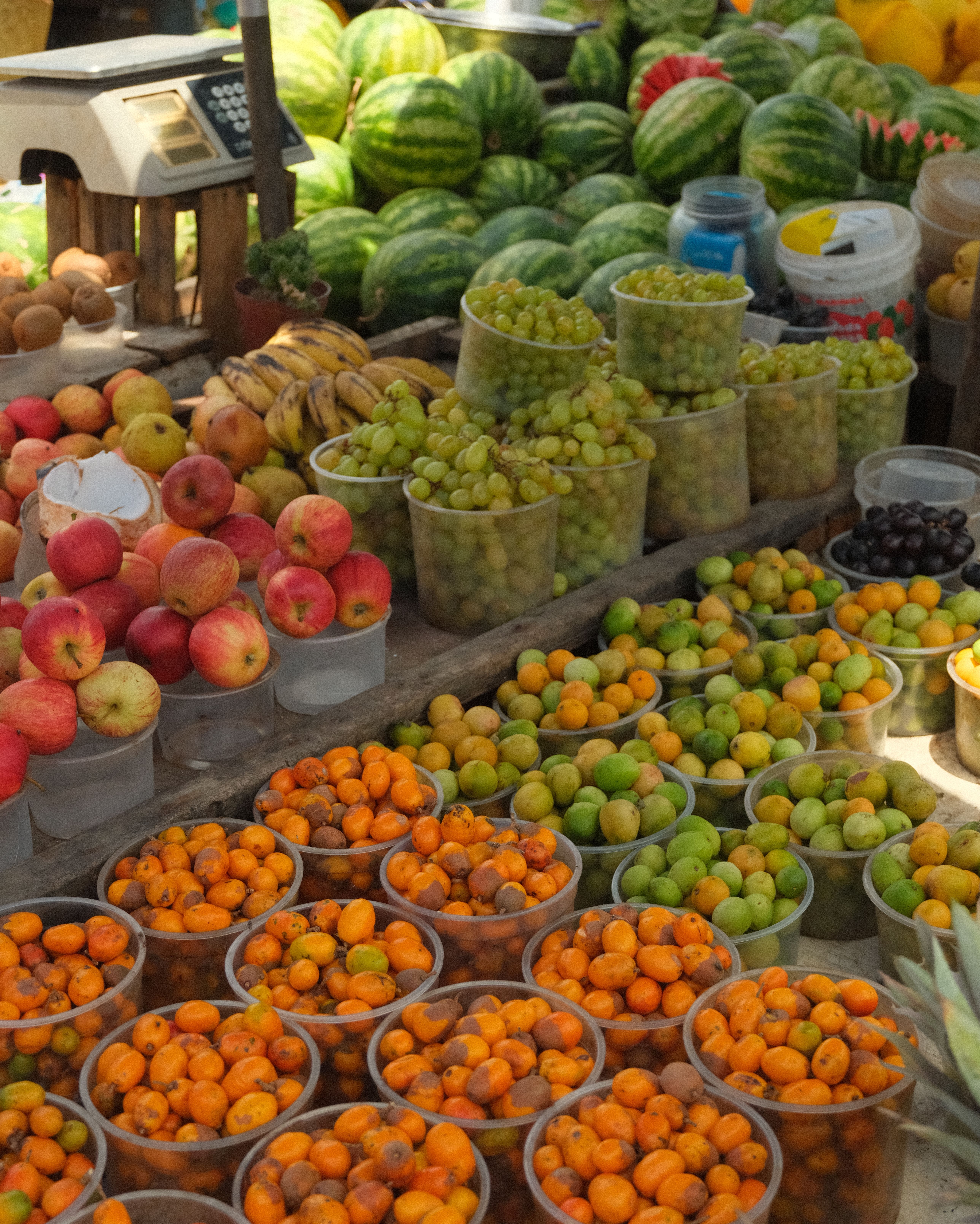 La Fiera Nazionale dei Frutti Secchi torna a Torres Novas dal 1 al 5 ottobre