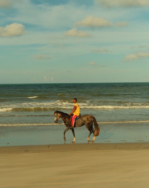 Free Person riding a horse along a picturesque beach in Paraíba, Brazil, during a sunny day. Stock Photo