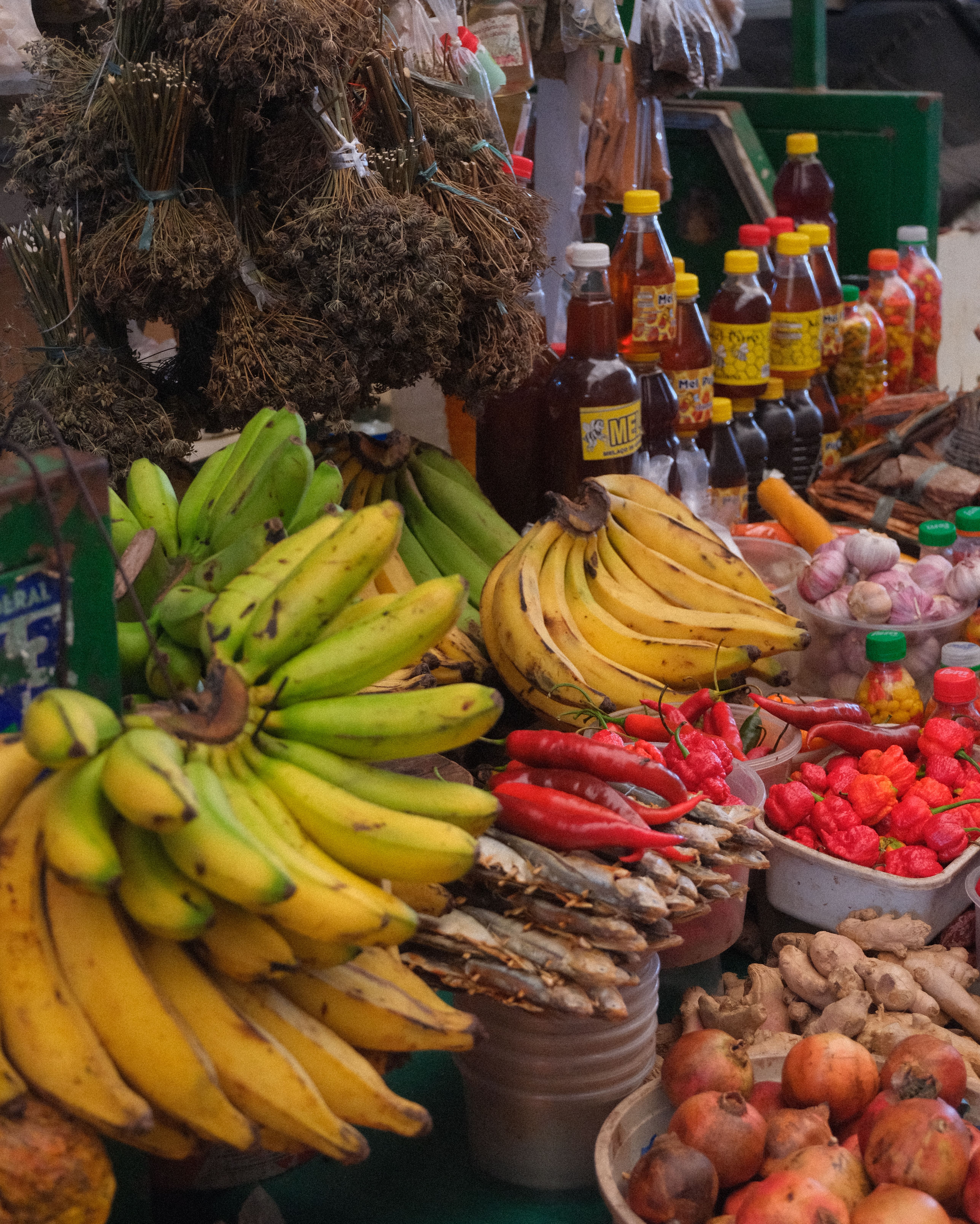 FEIRA ANUAL DE CUBA REGRESSA COM ANTÓNIO CAIXEIRO, CHICO DA TINA, UHF E TITO PARIS COMO CABEÇAS DE CARTAZ