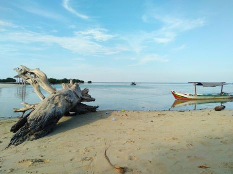 Serene beach in Jakarta with driftwood and a colorful traditional boat on calm waters. - Fotografer Sidoarjo