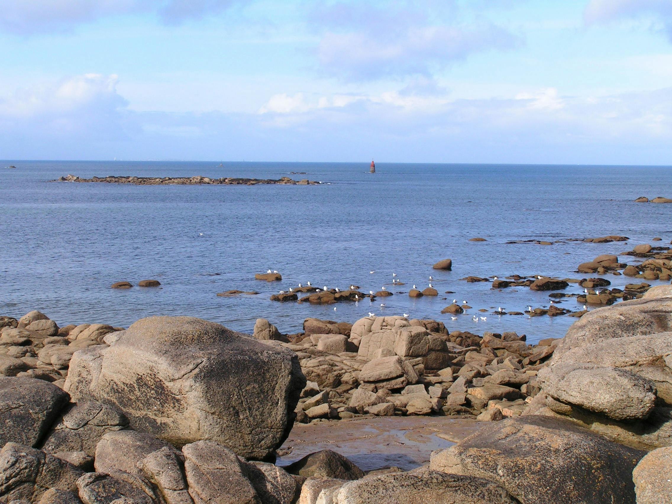 Brick look tile floor in a kitchen