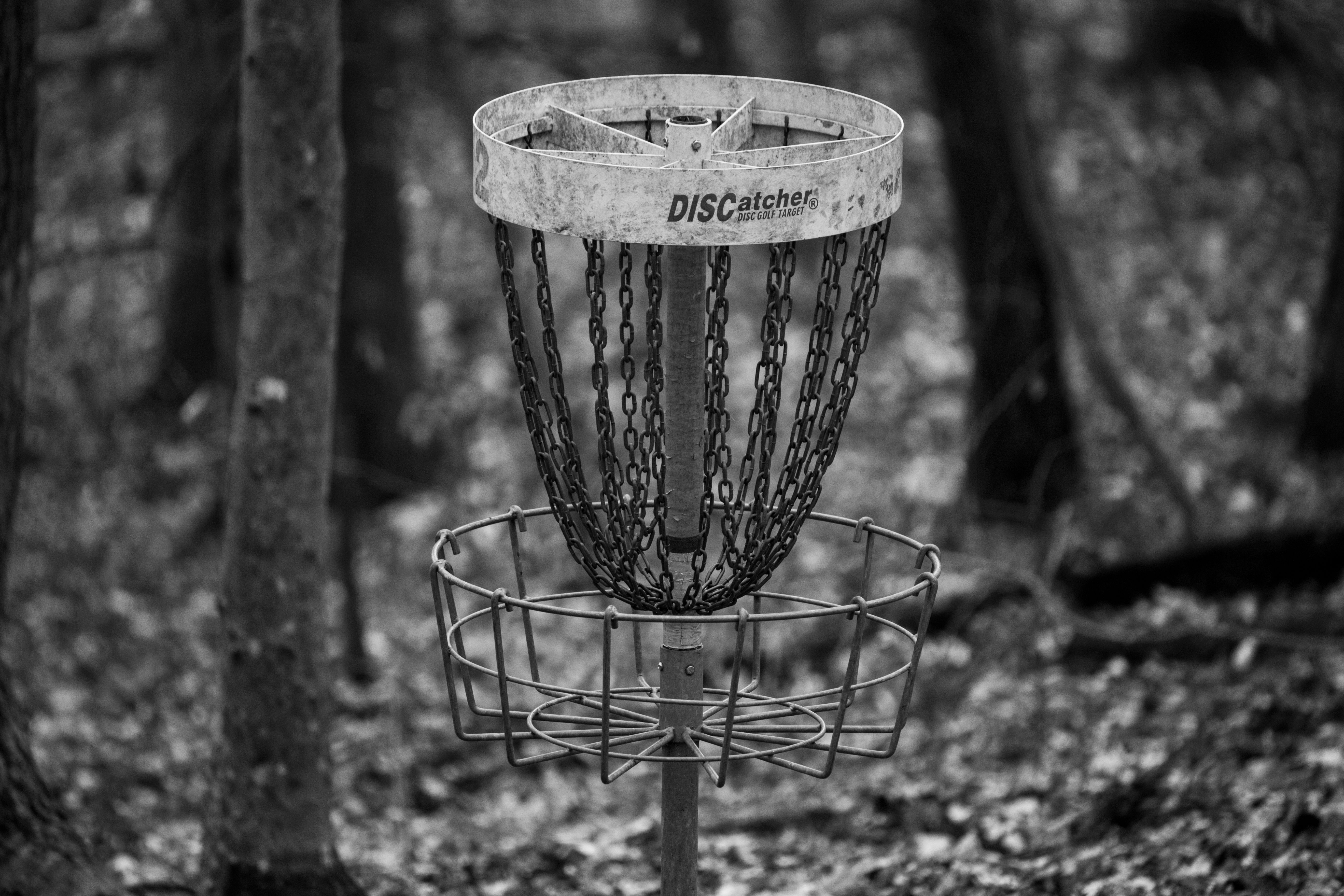 pickleball trends ultimate frisbee community — Photo by princess on Pexels