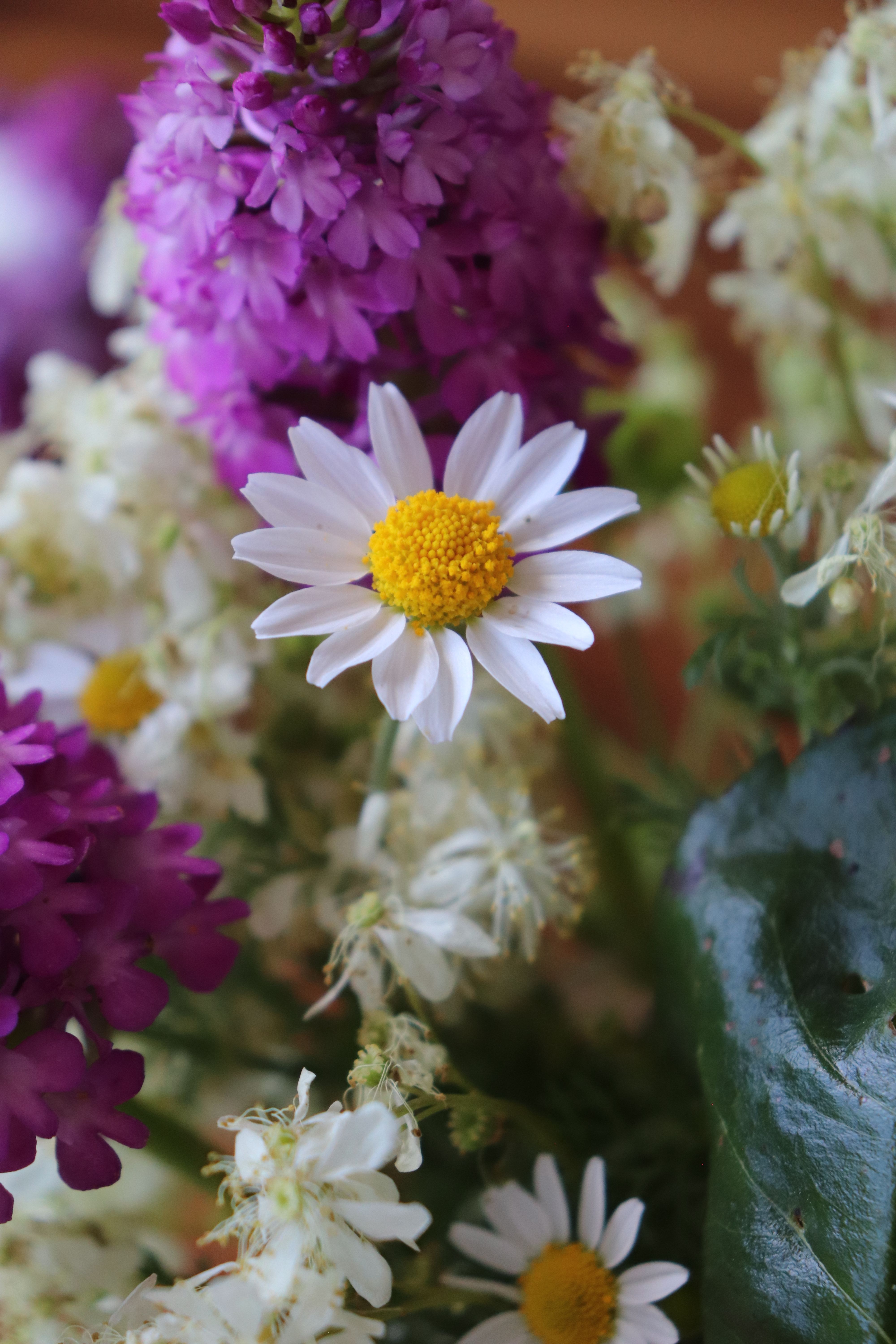 [ColoSach]-vibrant-floral-arrangement-featuring-a-white-daisy-and-purple-flowers.