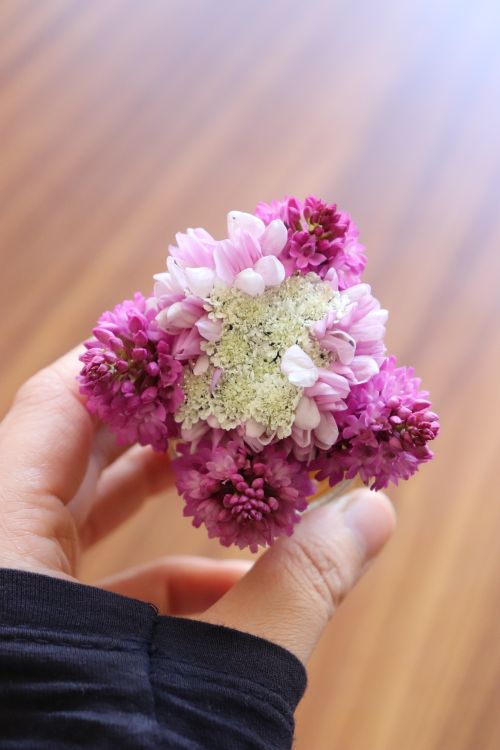 Free A hand holding a delicate bouquet of pink and white flowers, showcasing a soft and natural aesthetic. Stock Photo